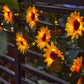 Vine Glow