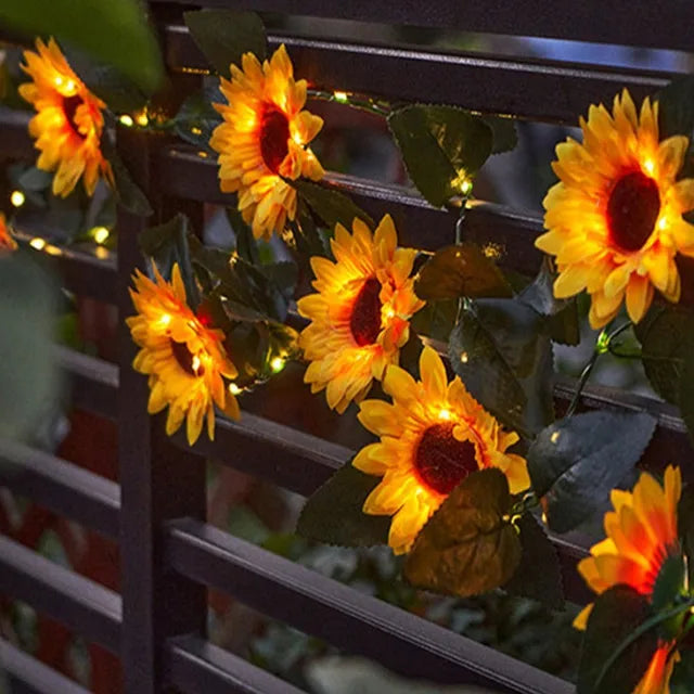 Vine Glow