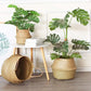 Seagrass Basket