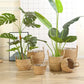 Seagrass Basket