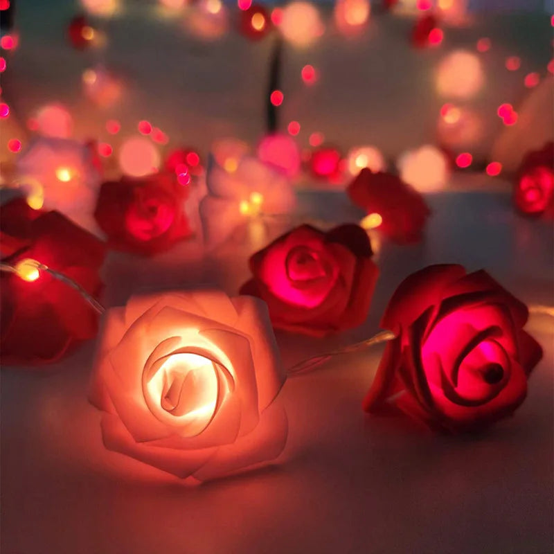 Delicate Rose Lights