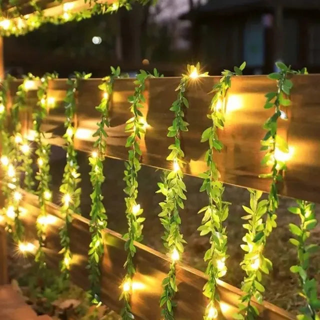 Vine Glow