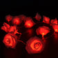 Delicate Rose Lights
